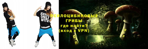 крисы Армянск