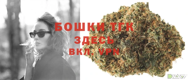 крисы Армянск